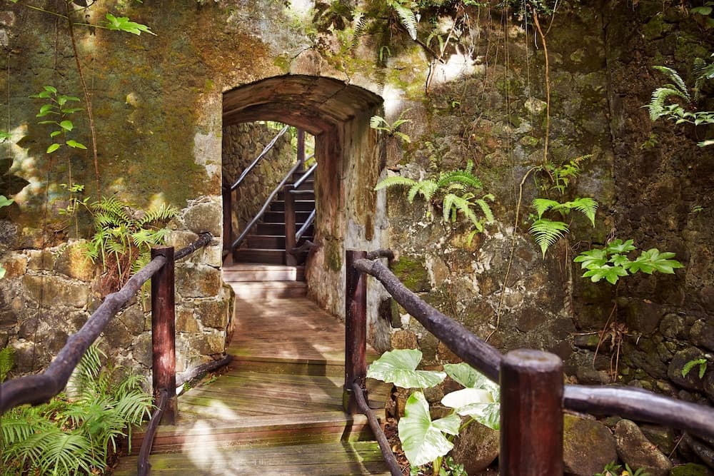 Sugar Beach, A Viceroy Resort - Photo 168