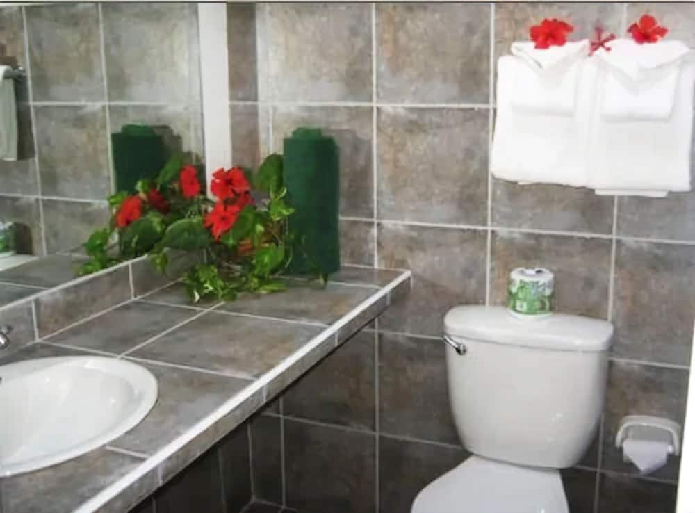 Goblin Hill Villas at San San - Photo 48