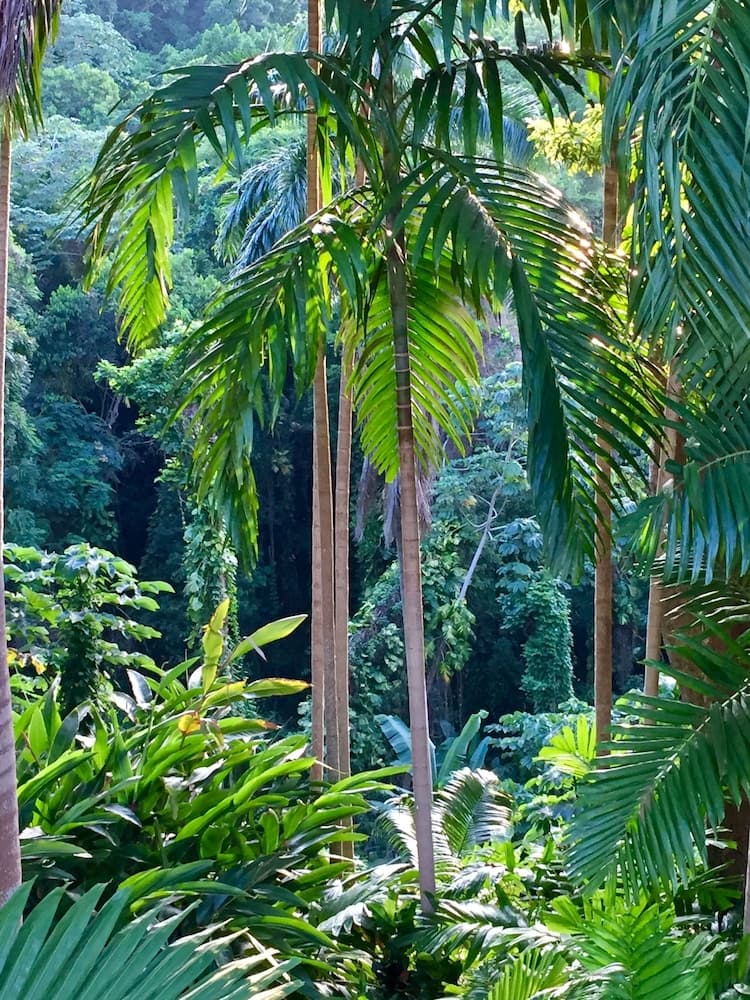 Goblin Hill Villas at San San - Photo 147