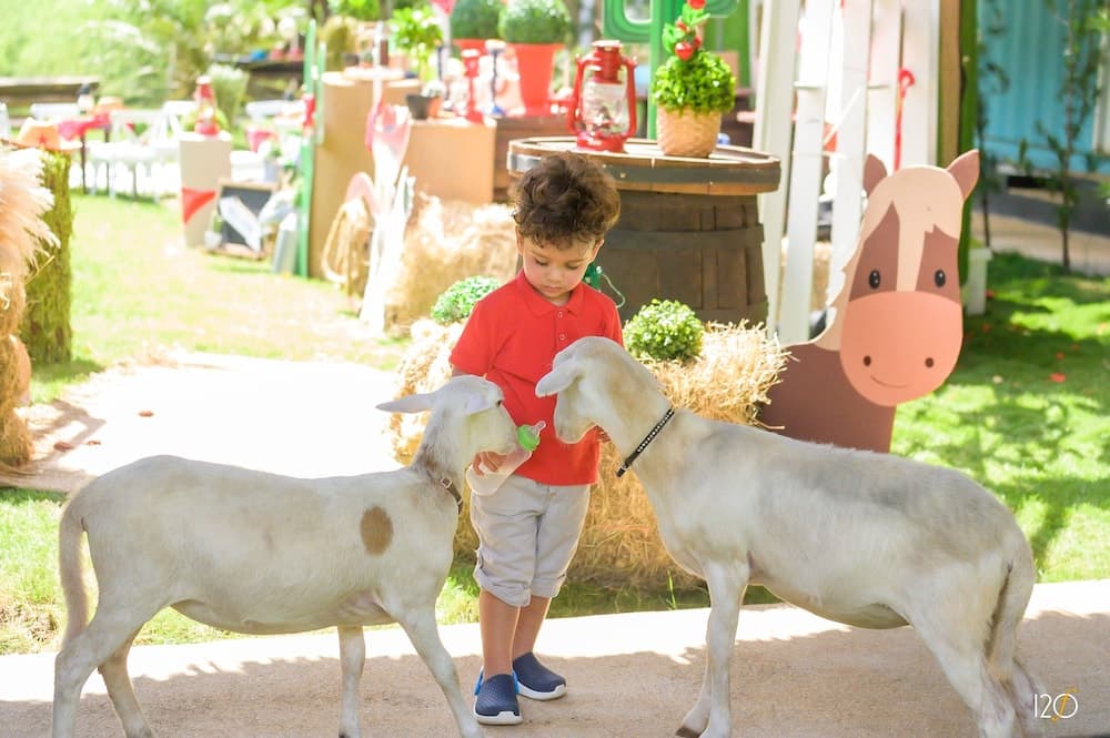 Hotel Caribbean Adventure - Photo 12