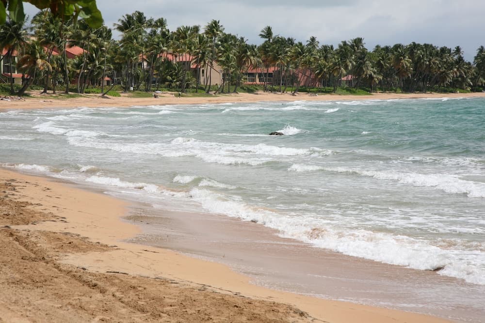 Park Royal Homestay Club Cala Puerto Rico - Photo 33