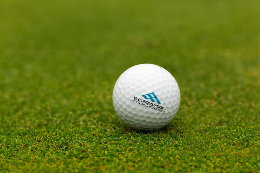 El Conquistador Resort - Photo 29