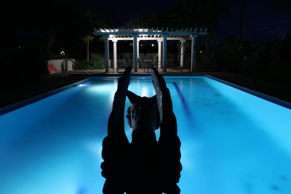 Hacienda Tamarindo - Photo 98