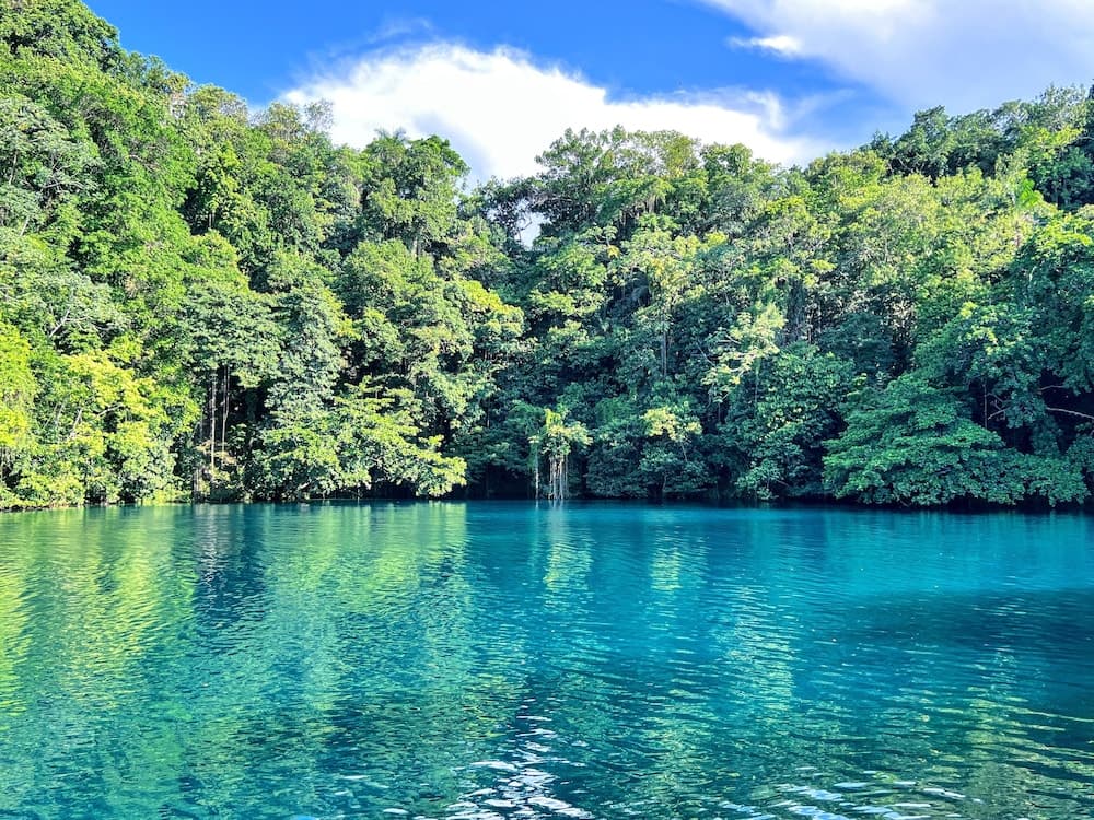 Goblin Hill Villas at San San - Photo 198