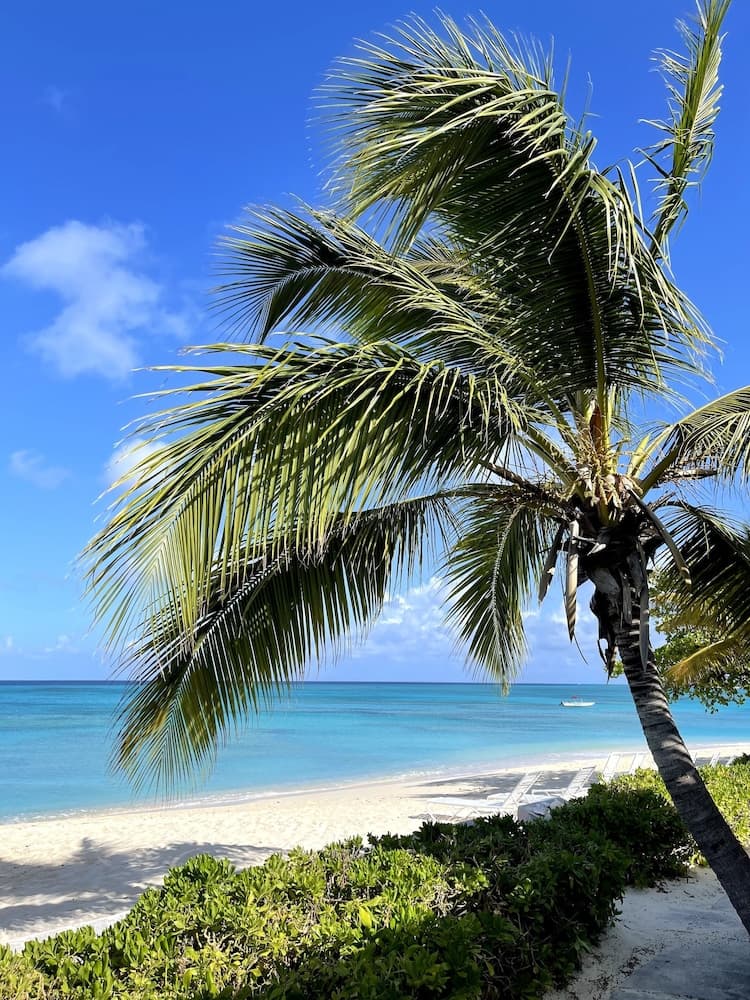 Osprey Beach Hotel - Photo 15