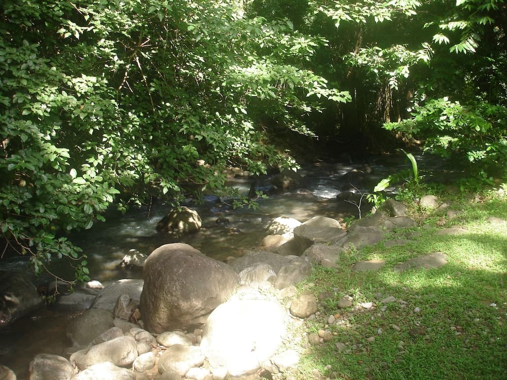 Kootney Resorts - Photo 92