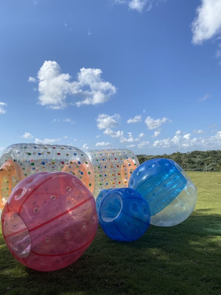 Hotel Caribbean Adventure - Photo 21