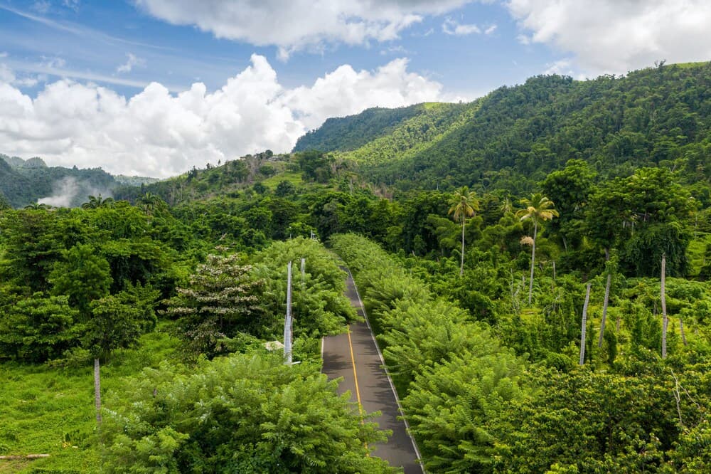 Kootney Resorts - Photo 19