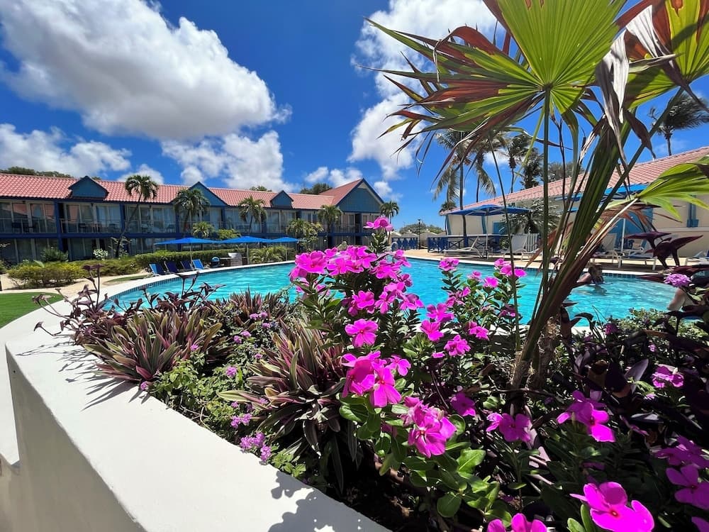 Divi Flamingo Beach Resort & Casino - Photo 23