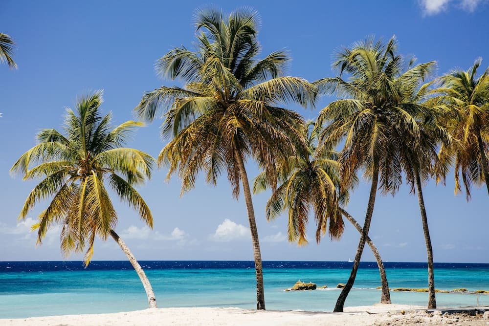 The Liming Bequia - Photo 54