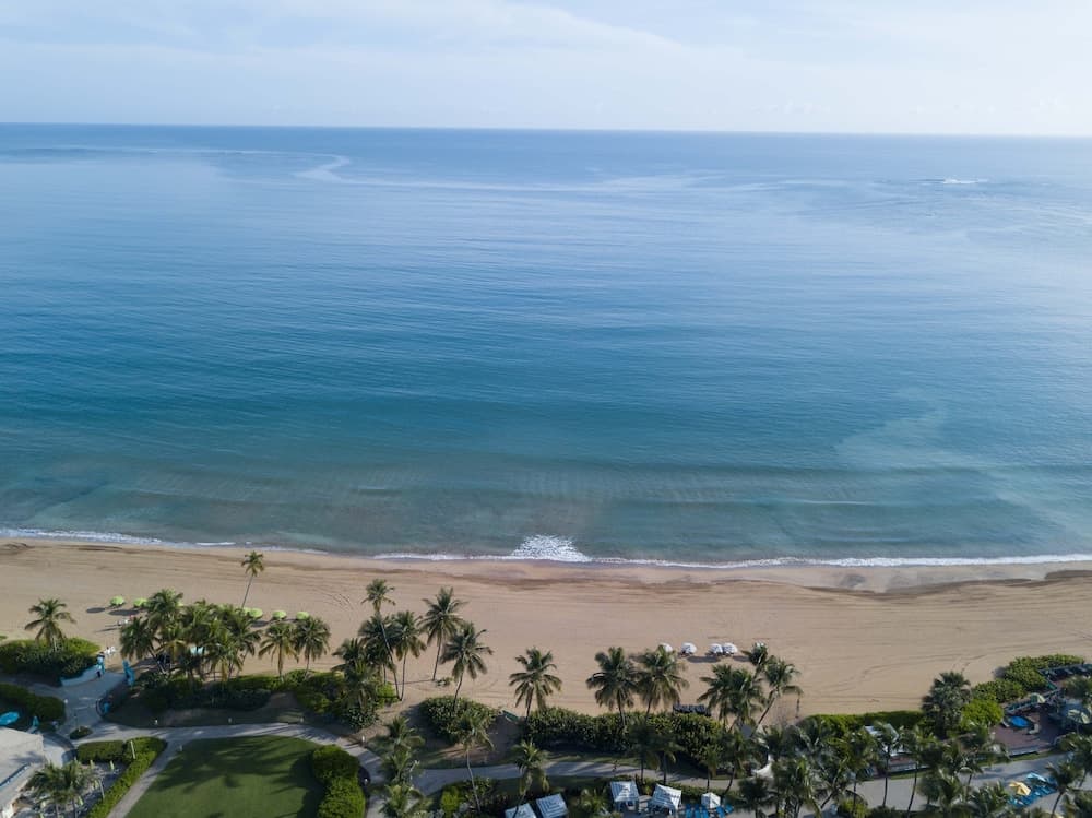 Wyndham Grand Rio Mar Rainforest Beach and Golf Resort - Photo 180