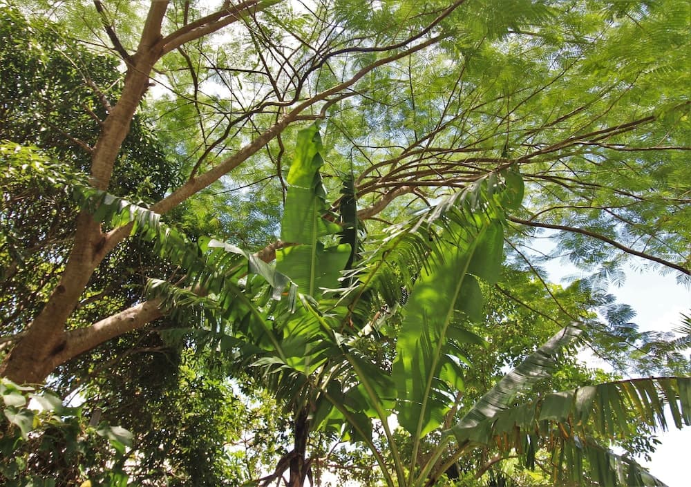 Casa da Buena Vista - Photo 35