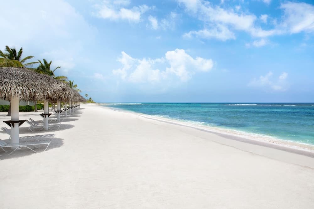 Le Soleil d'Or - Photo 13