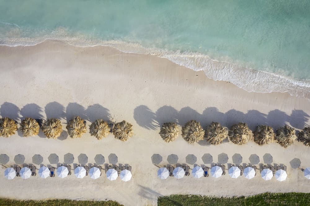 Ocean Coral Spring - All Inclusive - Photo 37