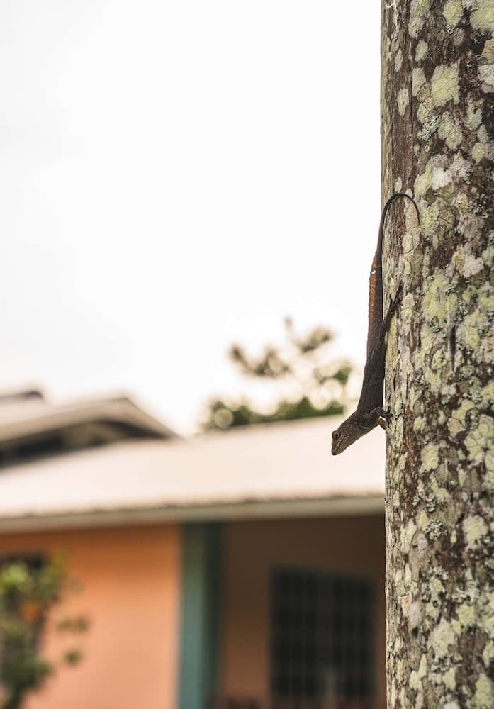 Kootney Resorts - Photo 10