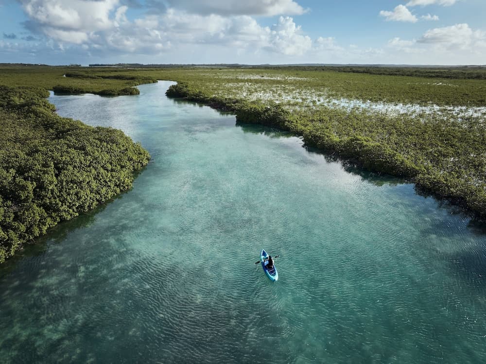 COMO Parrot Cay - Photo 125