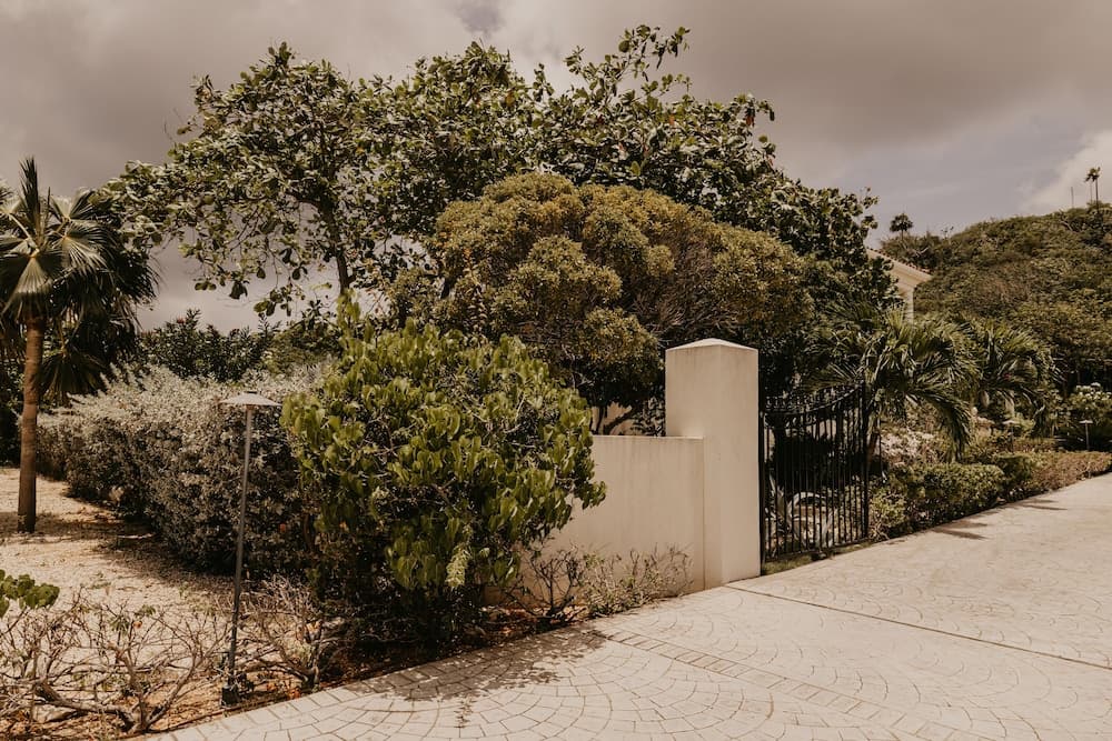 Le Soleil d'Or CaymanBrac - Photo 51