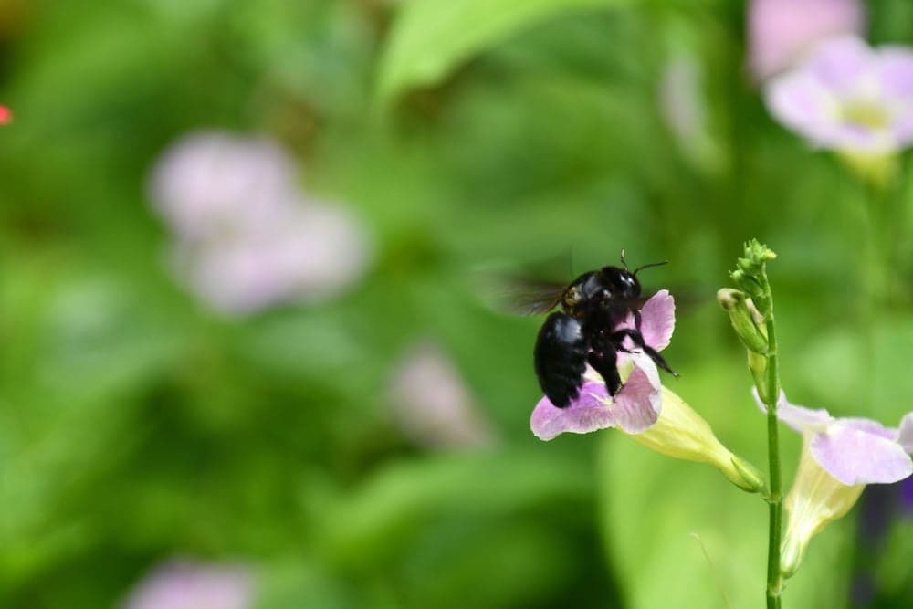 Hotel Alisei - Photo 99