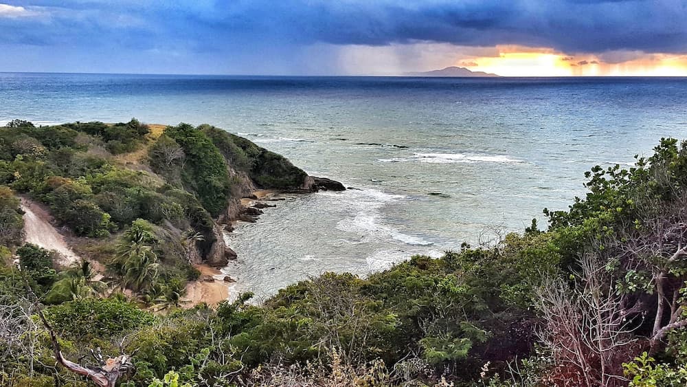 Park Royal Homestay Club Cala Puerto Rico - Photo 43