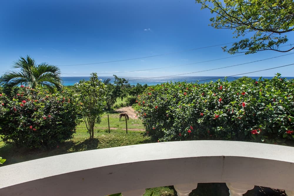 Hacienda Tamarindo - Photo 77