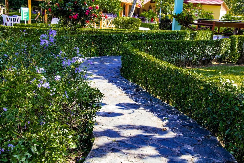 Hotel Rancho Guacamayos - Photo 108