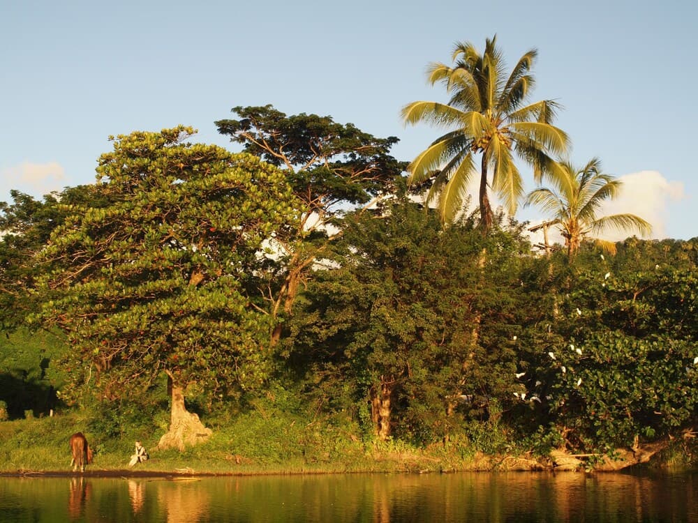 Richmond Vale Diving and Hiking Center - Hostel - Photo 34