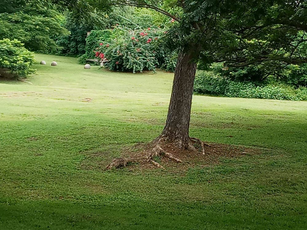 Hix Island House - Photo 51