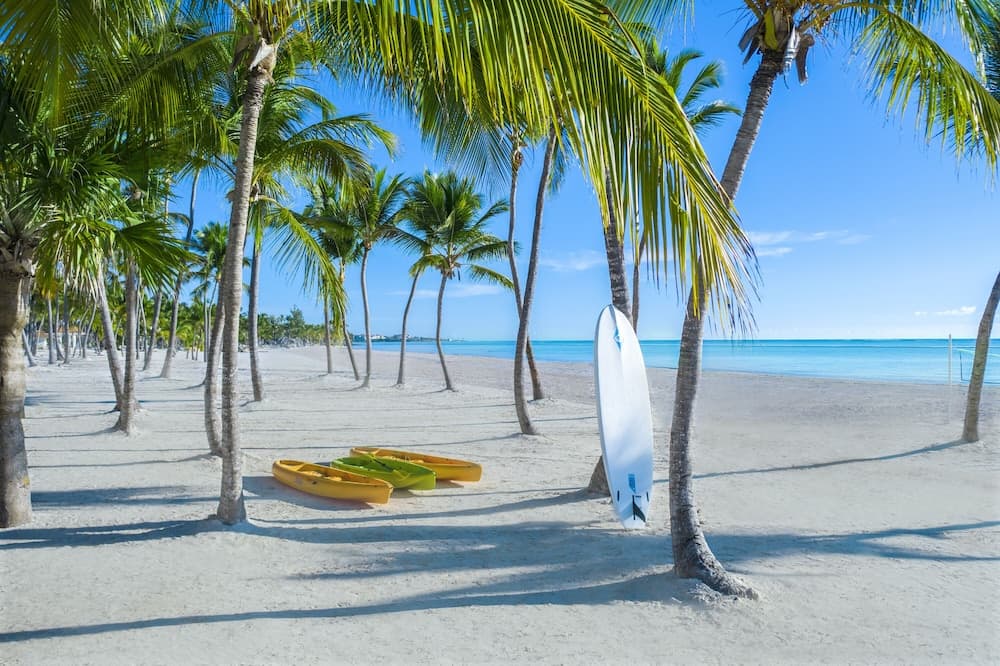 Hyatt Zilara Cap Cana ‐ Adults Only ‐ All Inclusive - Photo 126