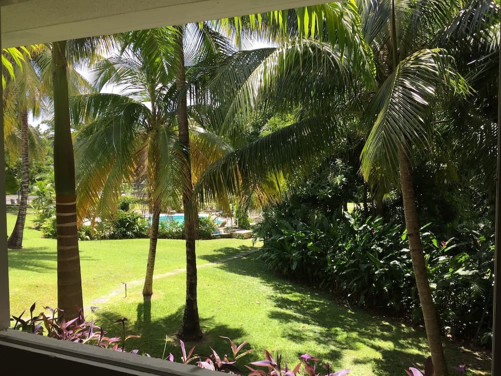 Goblin Hill Villas at San San - Photo 43