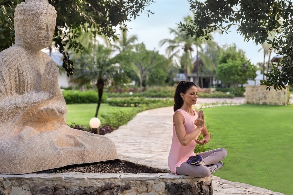 Dreams La Romana Resort & Spa - All Inclusive - Photo 45