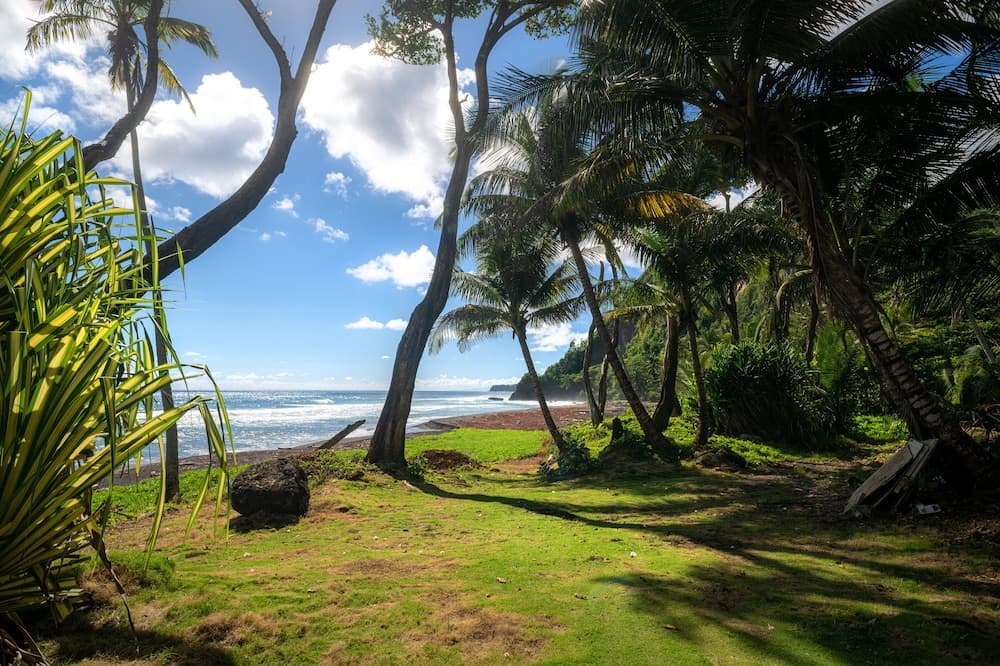 Rosalie Bay Eco Resort & Spa - Photo 27