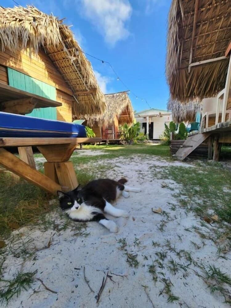 Saona Lodge - Photo 27