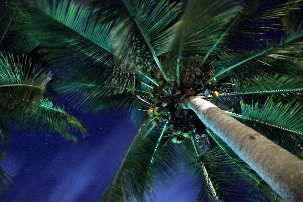 Hacienda Tamarindo - Photo 118