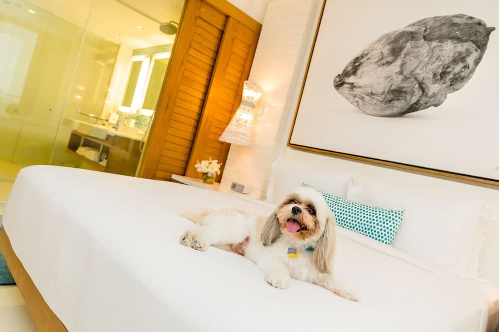 Grand Hyatt Baha Mar - Photo 73