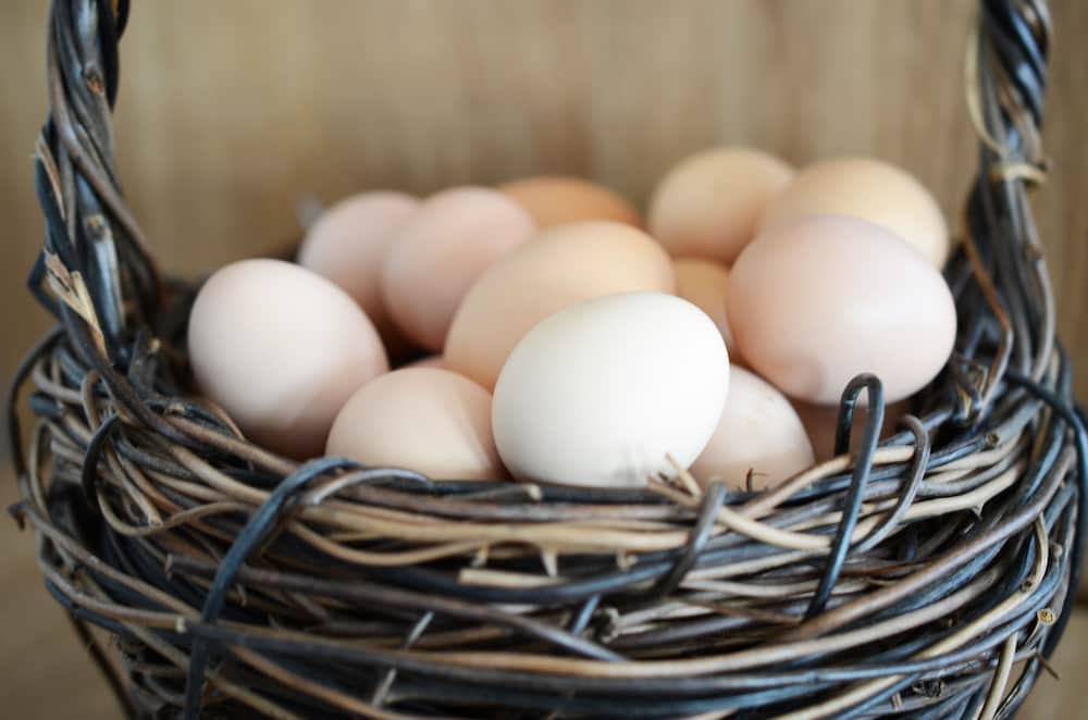 Le Soleil d'Or - Photo 9