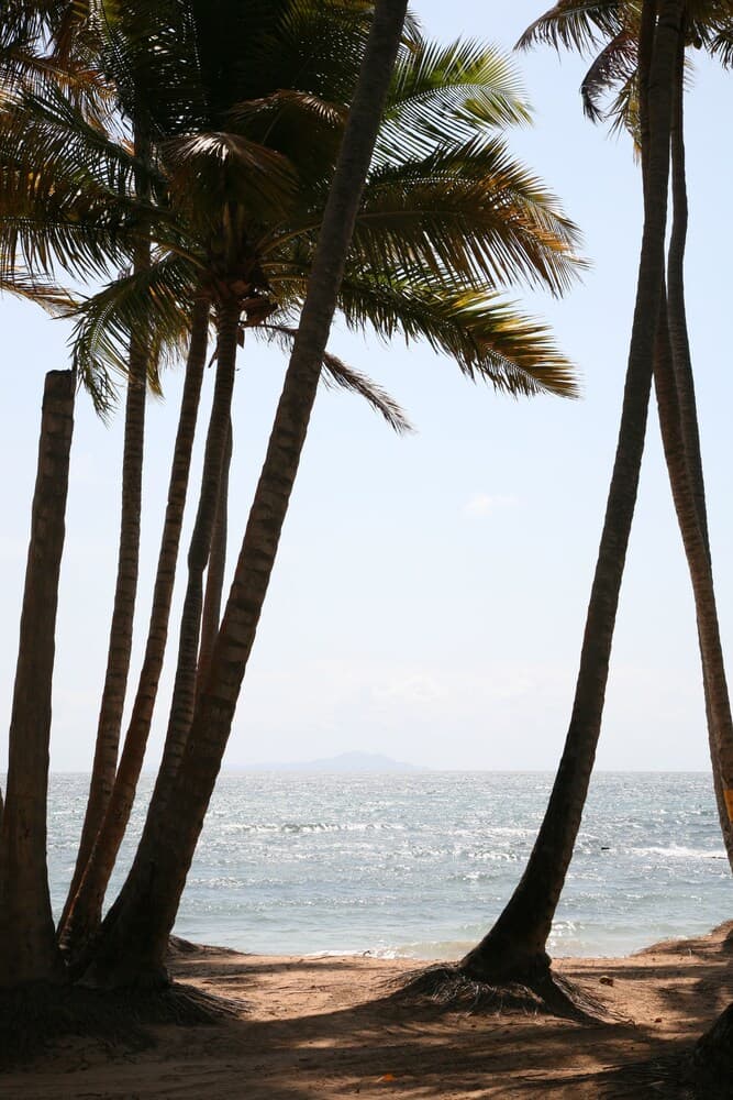 Park Royal Homestay Club Cala Puerto Rico - Photo 41