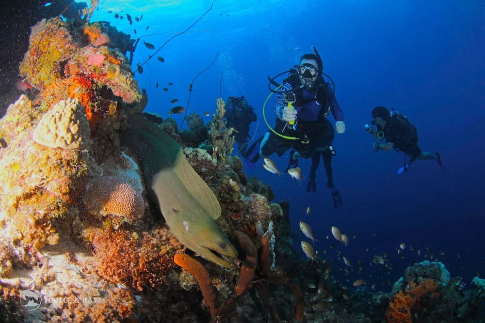 Lagun Blou Resort - Photo 6