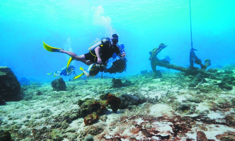 Divi Flamingo Beach Resort & Casino - Photo 59