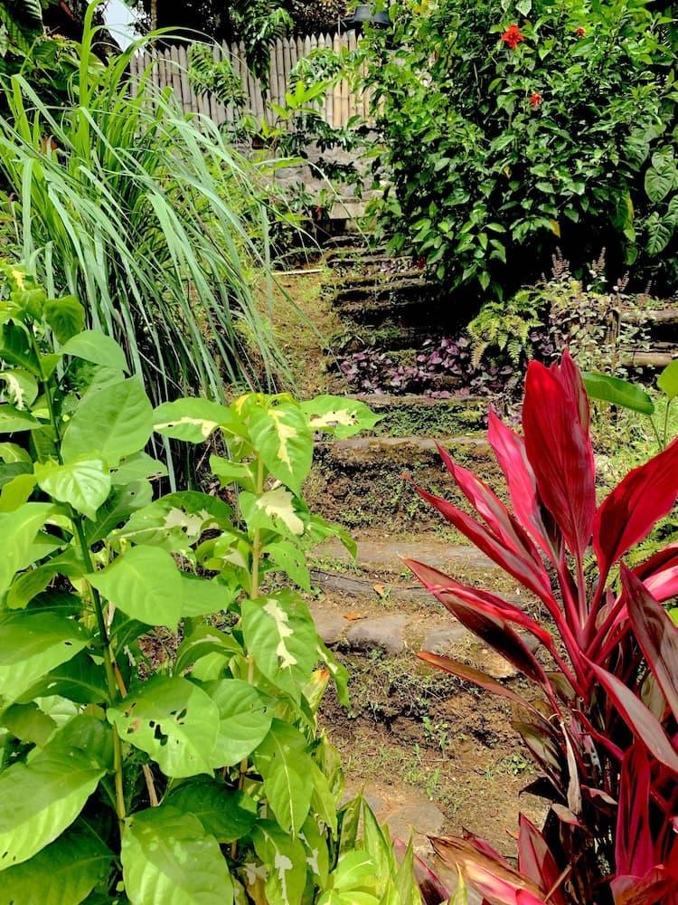 Cocoa Cottages - Photo 42