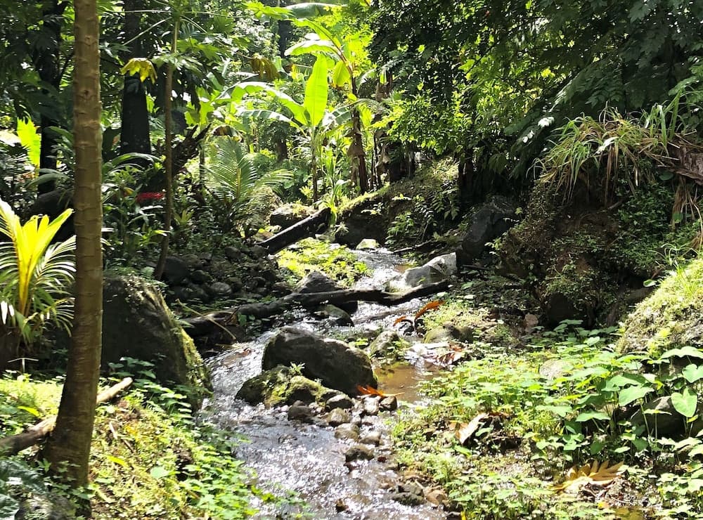 Cocoa Cottages - Photo 62