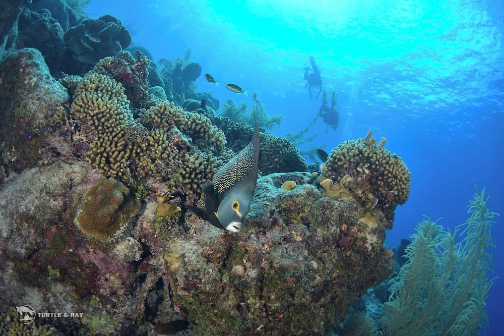 Lagun Blou Resort - Photo 83