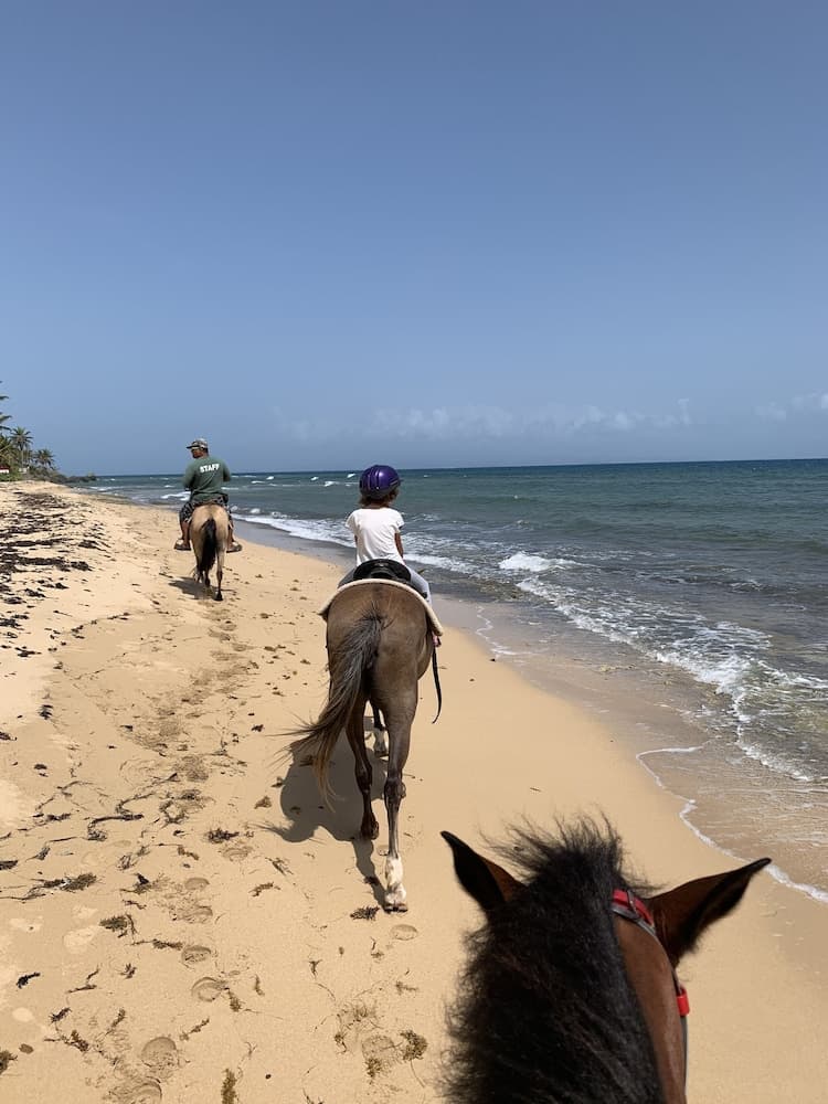 Sea Gate Hotel - Photo 39