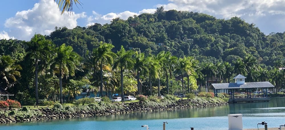 Goblin Hill Villas at San San - Photo 179