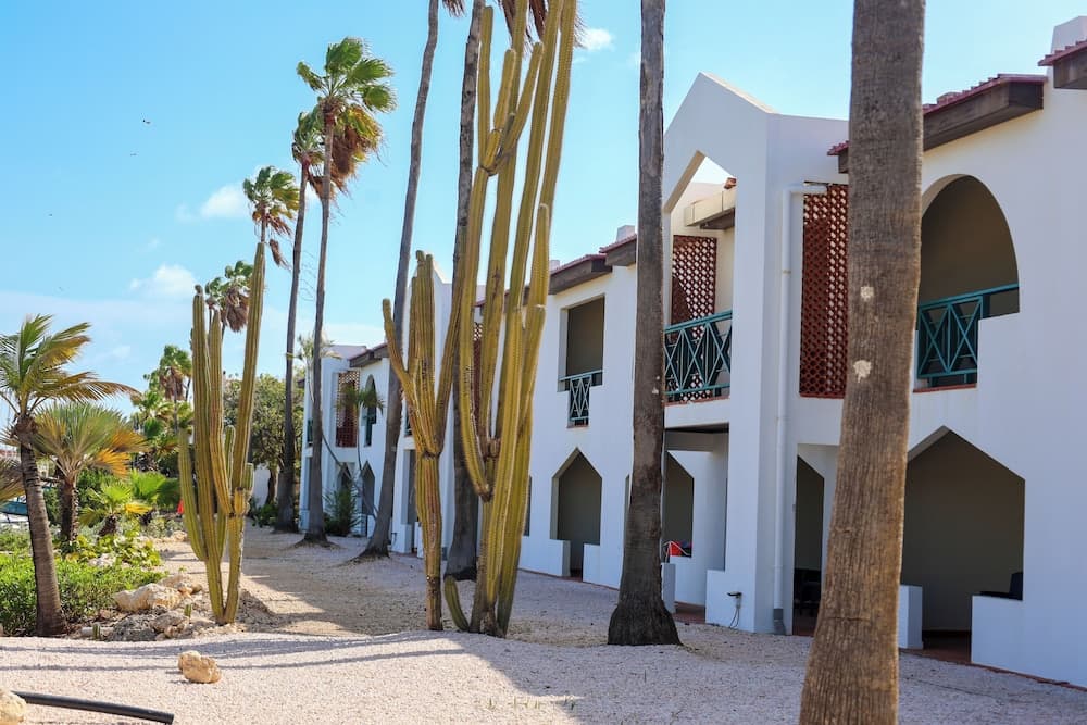 Van der Valk Plaza Beach & Dive Resort Bonaire - All Inclusive - Photo 69