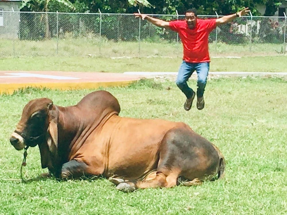 Hotel Rancho Guacamayos - Photo 115