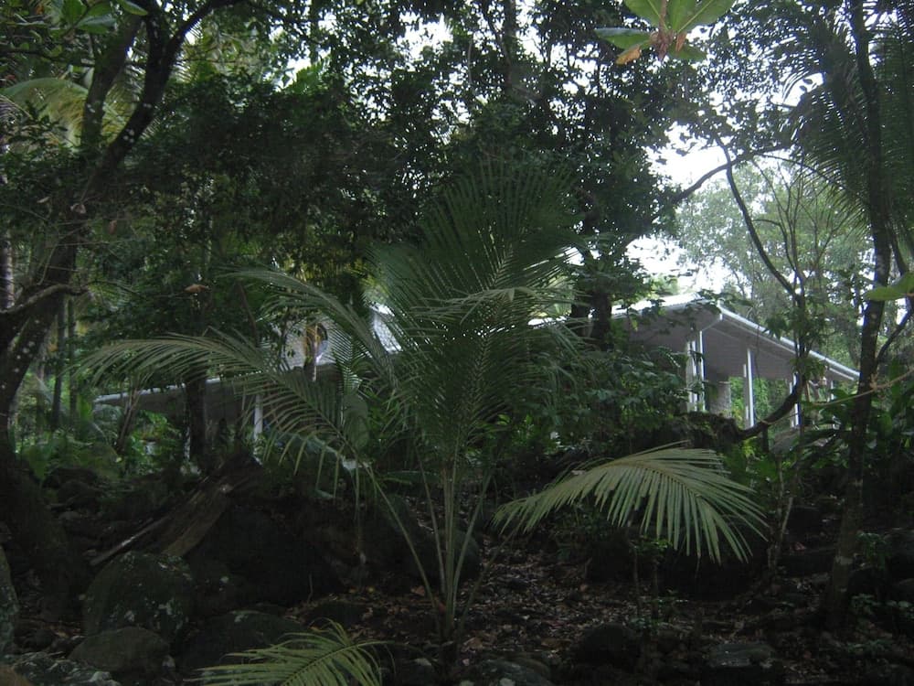 Citrus Creek Plantation - Photo 51