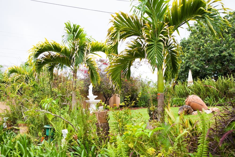 Casa da Buena Vista - Photo 56