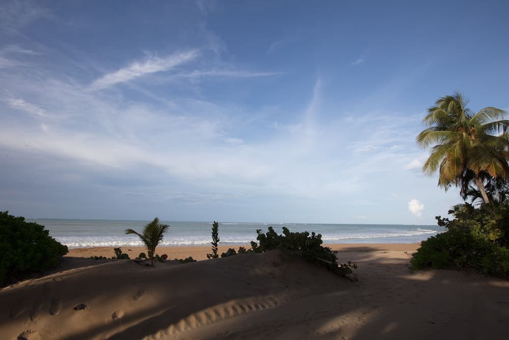 Wyndham Grand Rio Mar Rainforest Beach and Golf Resort - Photo 155