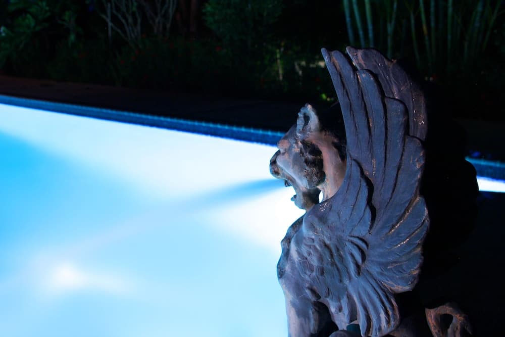 Hacienda Tamarindo - Photo 96