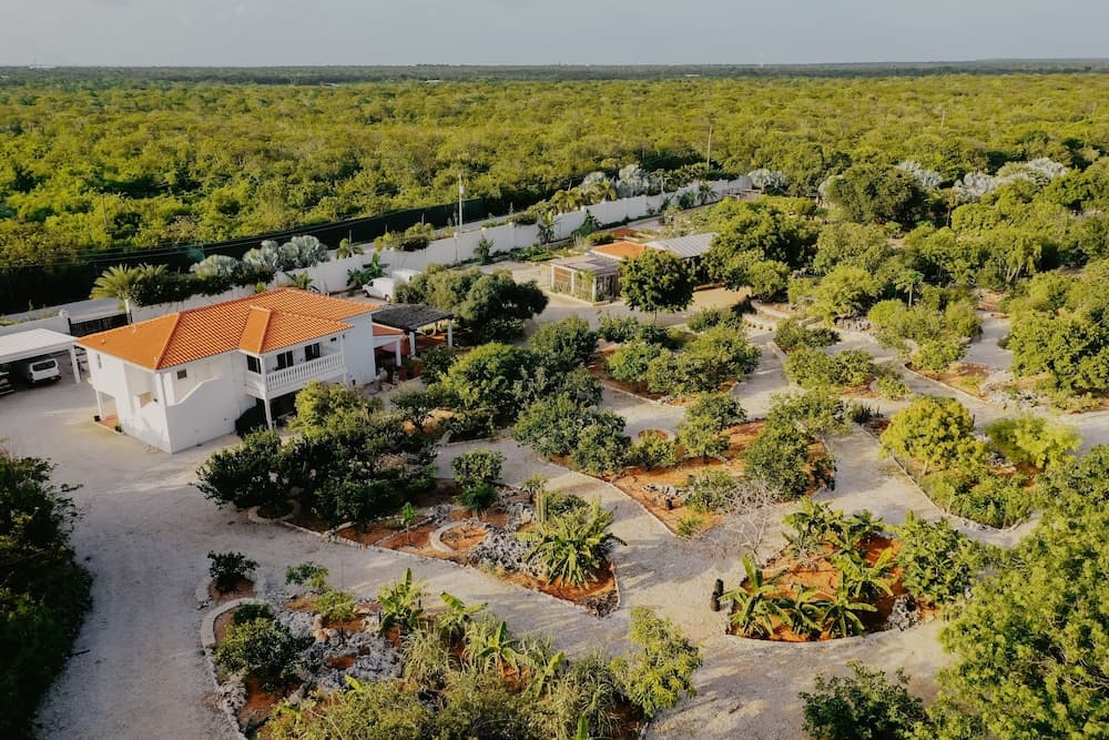 Le Soleil d'Or CaymanBrac - Photo 61